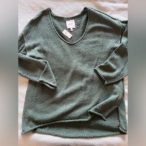 Aerie Vneck Sweater
